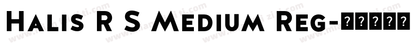 Halis R S Medium Reg字体转换
